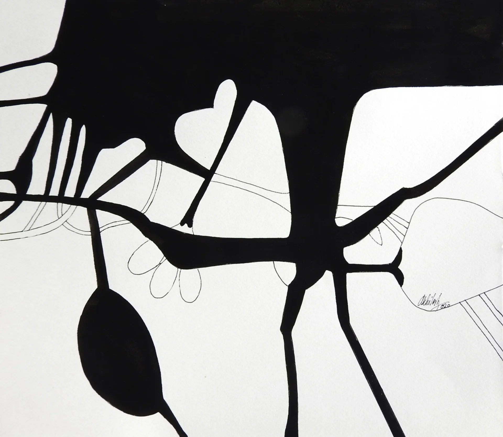 Why can’t we have memories of colour