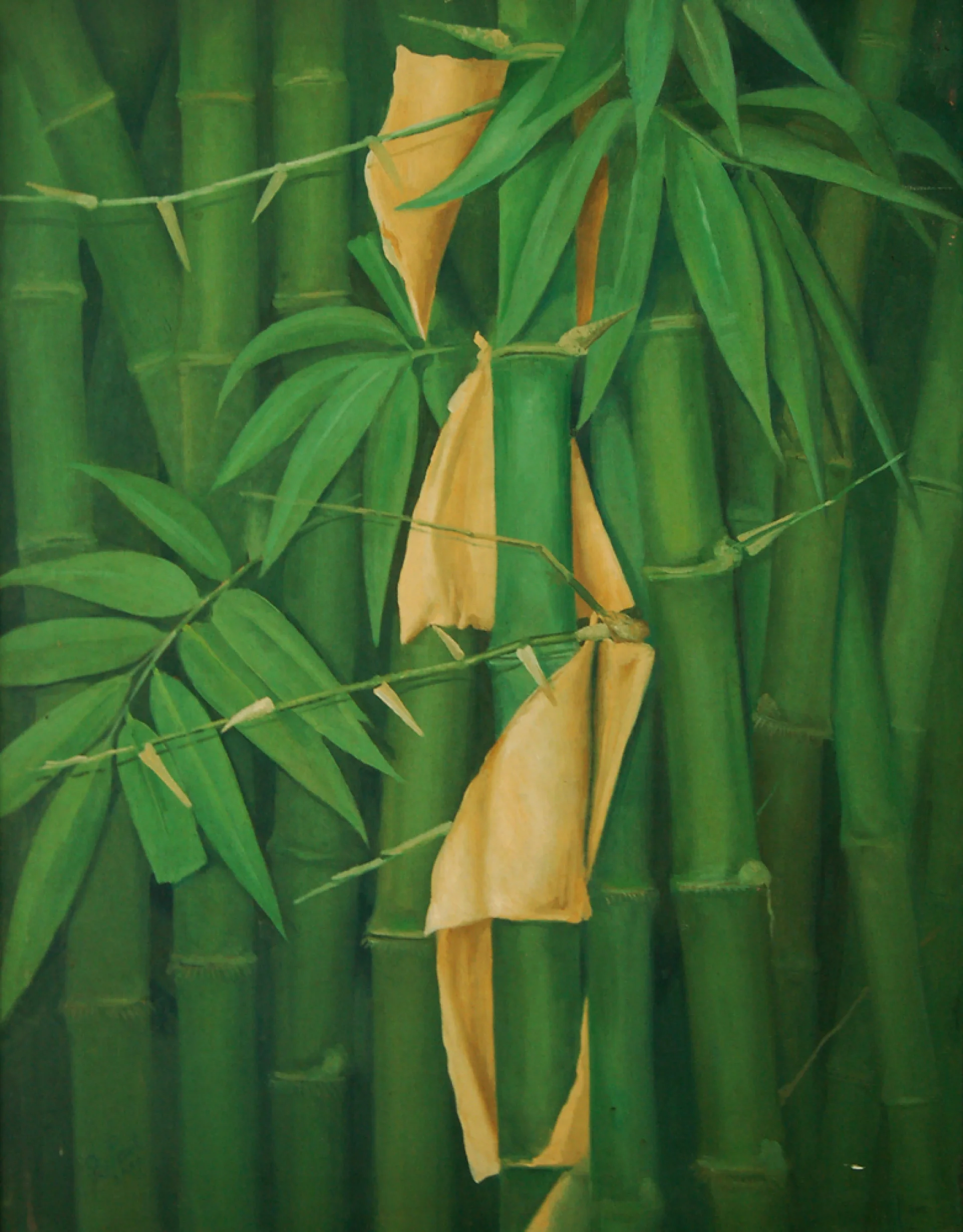 Bamboo Grove